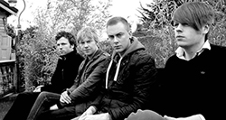 The Flaws - Irish music artist